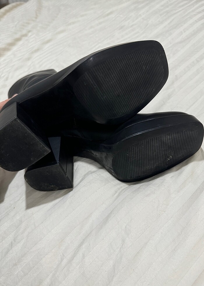 Küt Burunlu Bot - Görsel 4