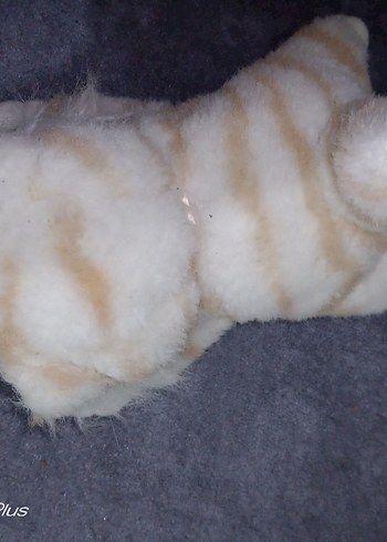 Beden Renk Beyaz Peluş Oyuncak Kedi