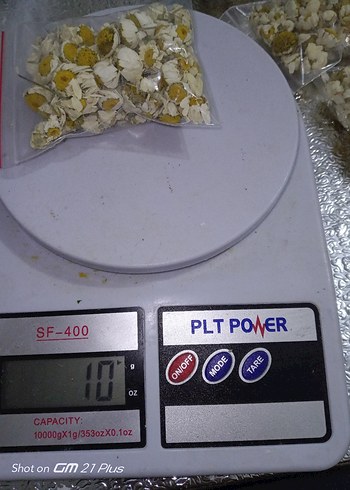  Beden Renk Kuru Papatya Çiçeği Paketi