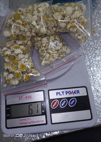  Beden Kuru Papatya Çiçeği Paketi