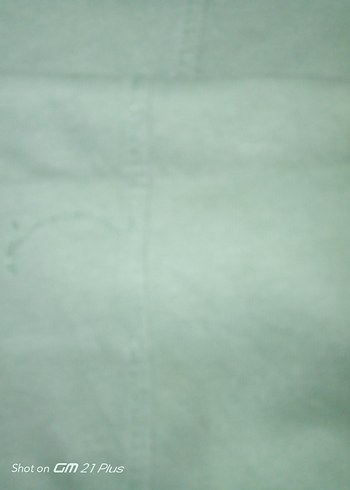 9 Yaş Beden yeşil Renk Pastel Yeşil ve beyaz Kısa Kollu Tişört