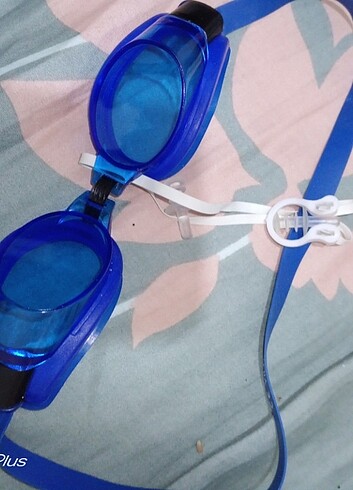 Denız gozlugu - Görsel 2