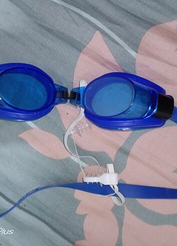 Denız gozlugu - Görsel 3