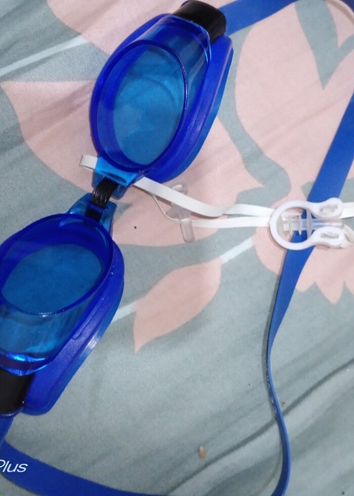 Denız gozlugu - Görsel 2