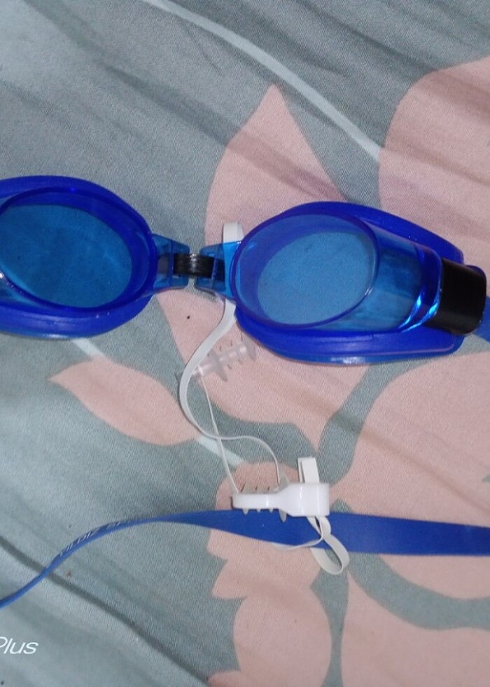 Denız gozlugu - Görsel 3