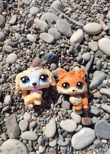 lps miniş