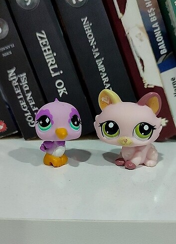 Lps kedi miniş özel ilan 