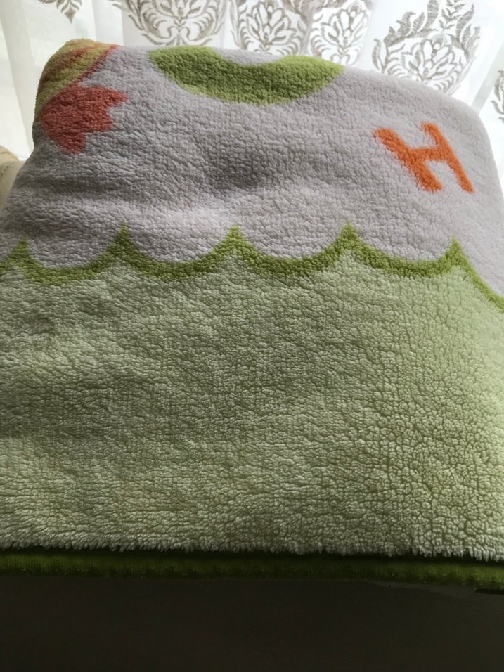 Ördek Baskılı  Kadife Çocuk Battaniyesi - Görsel 3