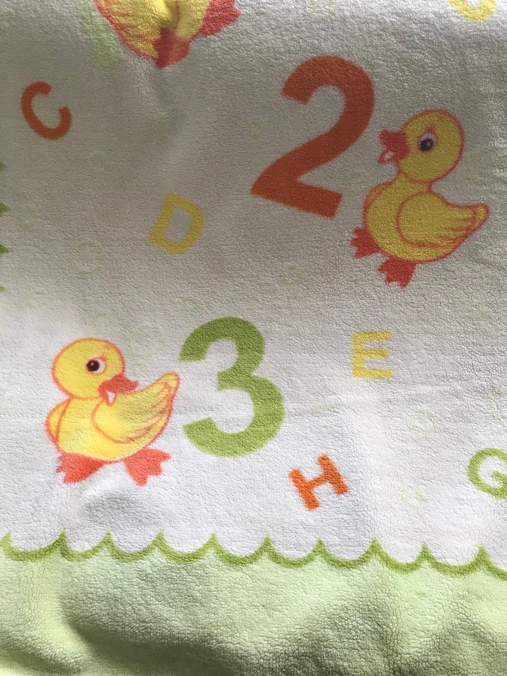 Ördek Baskılı  Kadife Çocuk Battaniyesi - Görsel 4