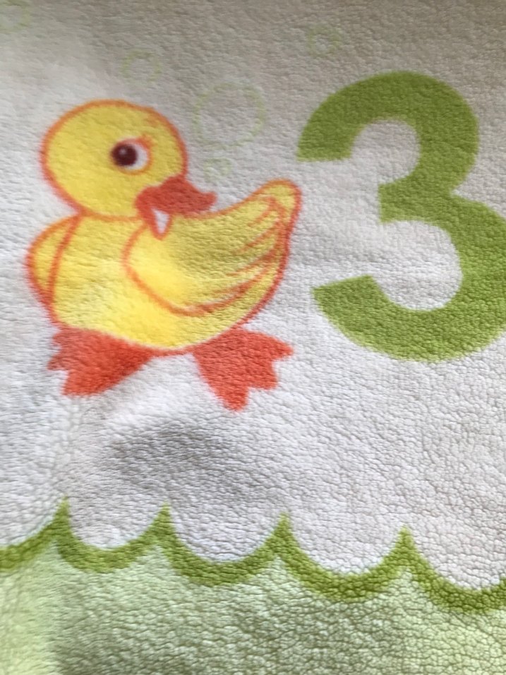 Ördek Baskılı  Kadife Çocuk Battaniyesi - Görsel 2