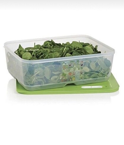 Tupperware sera 9.9 lt