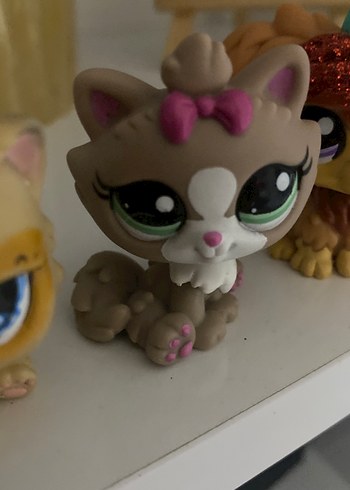Kedi ilan
