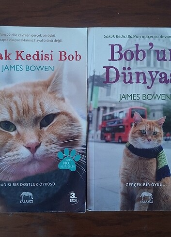 Sokak Kedisi Bob ve Bob'un dünyası