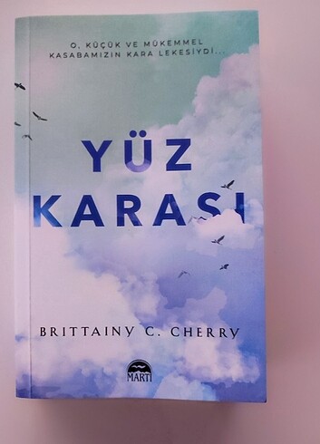 Yüz Karası - Brittainy Cherry 