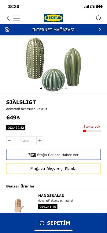 İKEA SJÄLSLIGT kaktüs dekoratif aksesuar