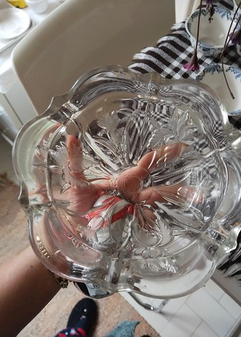 Çiçek Desenli Şeffaf Cam Kase - Görsel 2