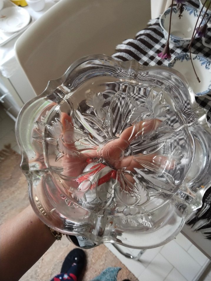 Çiçek Desenli Şeffaf Cam Kase - Görsel 2