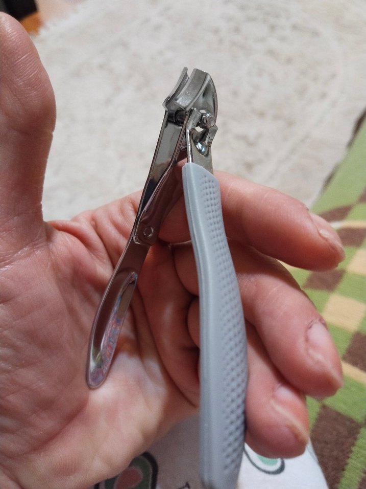 Gri Tırnak Eti Makası - Görsel 2