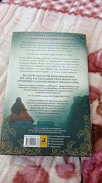  Beden Bir karanlık pencere serisi kitap