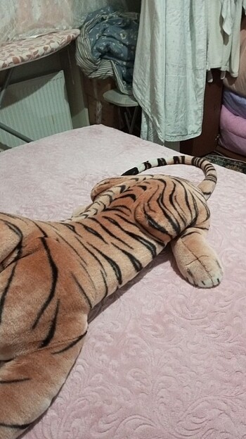 Beden 183 cm boyunda kaplan