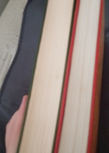 Beden Renk Asrımız Meselelerine Göre Fetvalar Kitabı