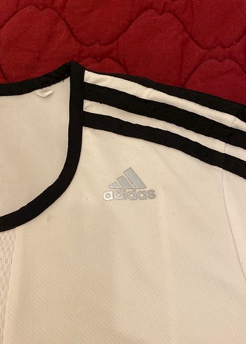 Kadın Beyaz Kısa Kollu Spor Tişört - Görsel 2