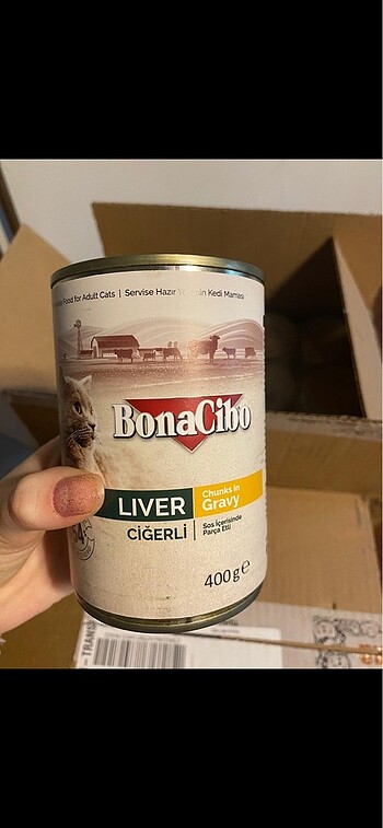 Beden Kedi ıslak mama yetişkin