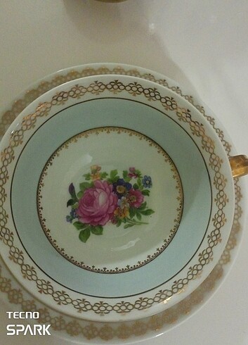  Beden çeşitli Renk Limoges Haviland çay boyu fincan