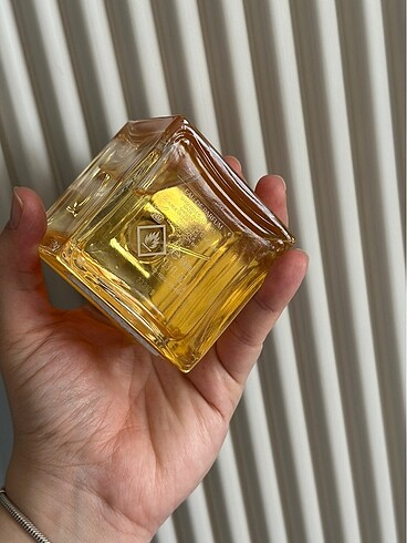 Beden Shiseido 100ml EDP