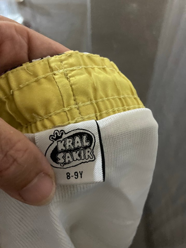 Renkli Desenli Erkek Çocuk Deniz Şortu - Görsel 3