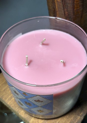 Shiny Bej Kokulu Mum - Picnic Petals - Görsel 4