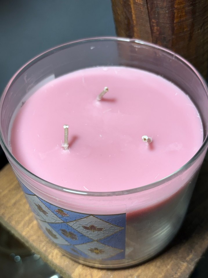 Shiny Bej Kokulu Mum - Picnic Petals - Görsel 4