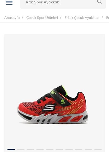 Erkek Çocuk Renkli Skechers Ayakabı