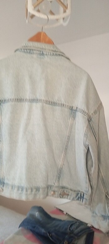 Pull and Bear Kot mont