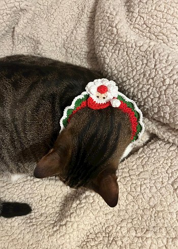 Nakışlı kedi tasması - Görsel 3