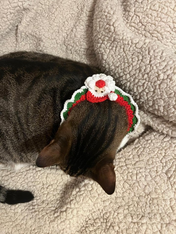 Nakışlı kedi tasması - Görsel 3