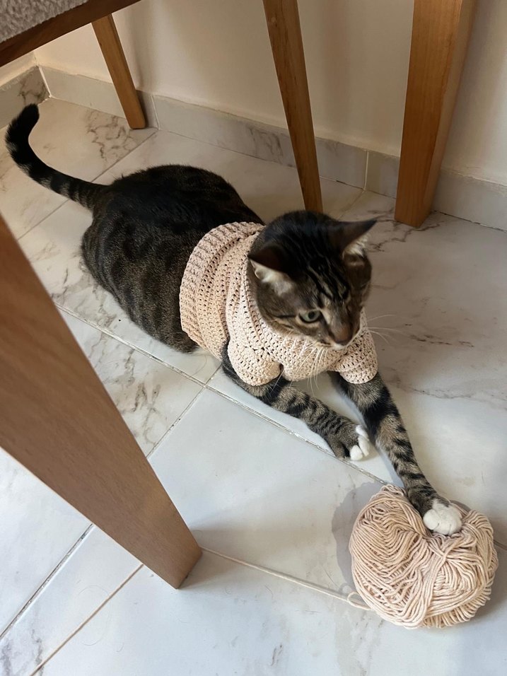 Gri Örgü Kedi Süveteri - Görsel 2