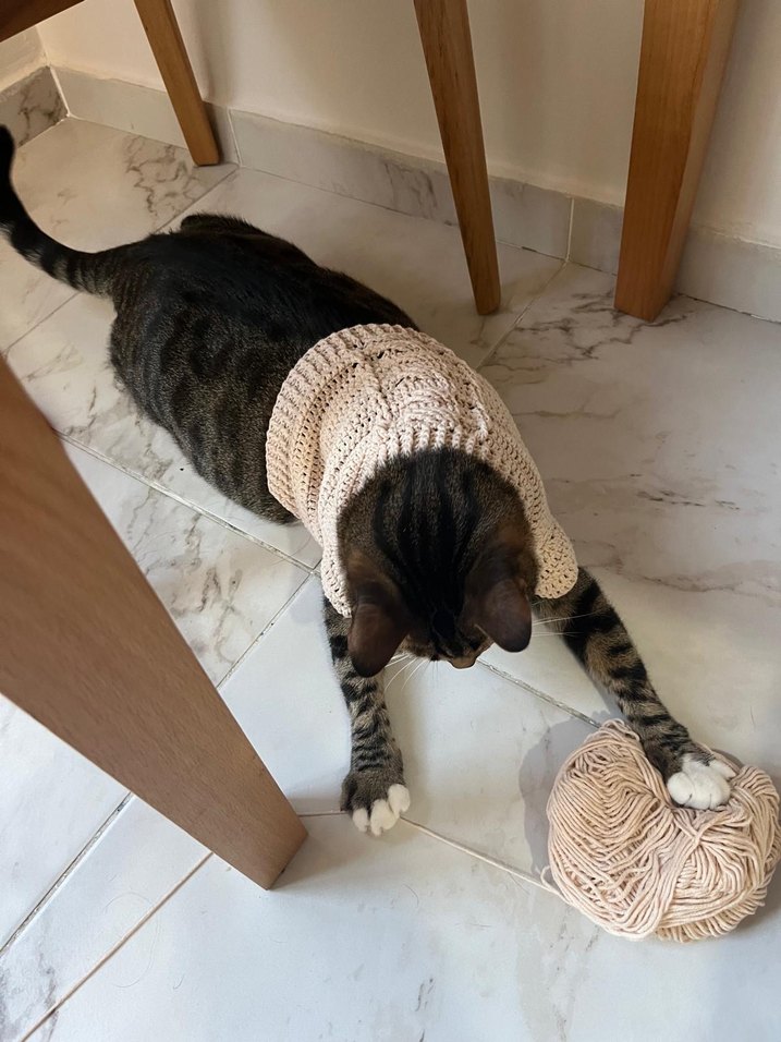 Gri Örgü Kedi Süveteri - Görsel 3