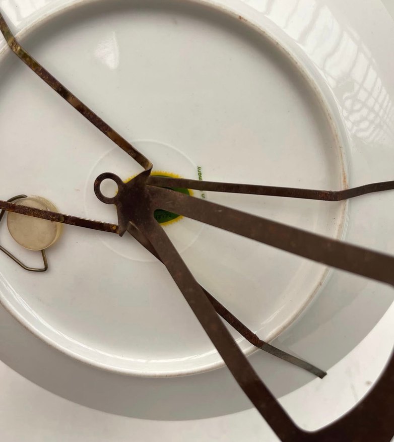 Alman Çiçek Desenli Çok Renkli Tabak - Görsel 3