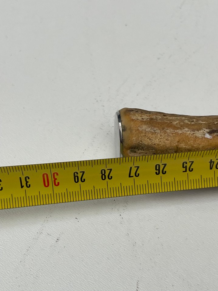 Germany Solingen Damgalı Geyik Boynuzu bıçak - Görsel 5