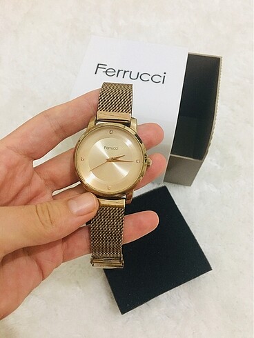 Ferucci saat