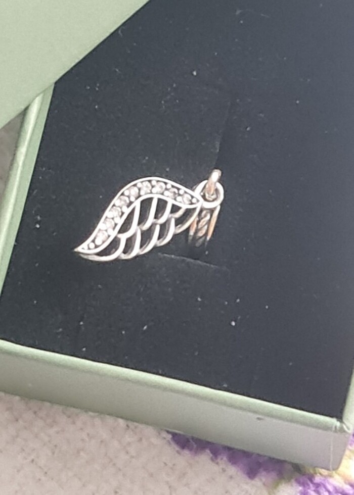 925 Ayar Gümüş Sallantılı Melek Kanadı
Charm - Görsel 2