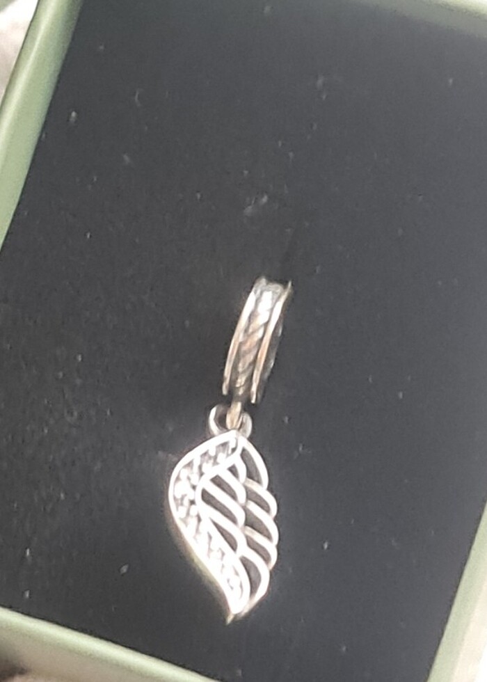 925 Ayar Gümüş Sallantılı Melek Kanadı
Charm - Görsel 3