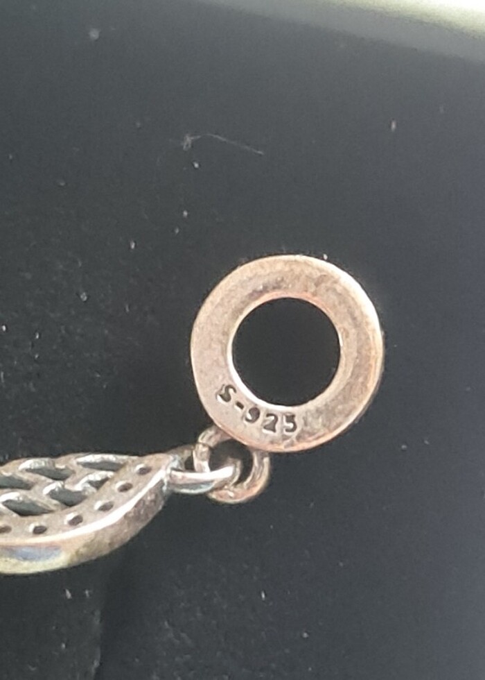 925 Ayar Gümüş Sallantılı Melek Kanadı
Charm - Görsel 5