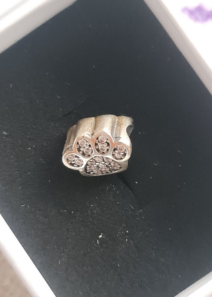 925 Ayar Gümüş Zirkon Taşlı Pati Dostu Charm - Görsel 2