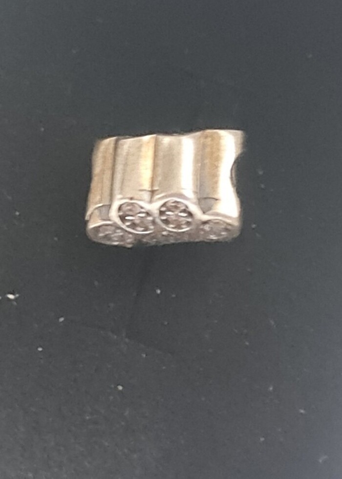 925 Ayar Gümüş Zirkon Taşlı Pati Dostu Charm - Görsel 3