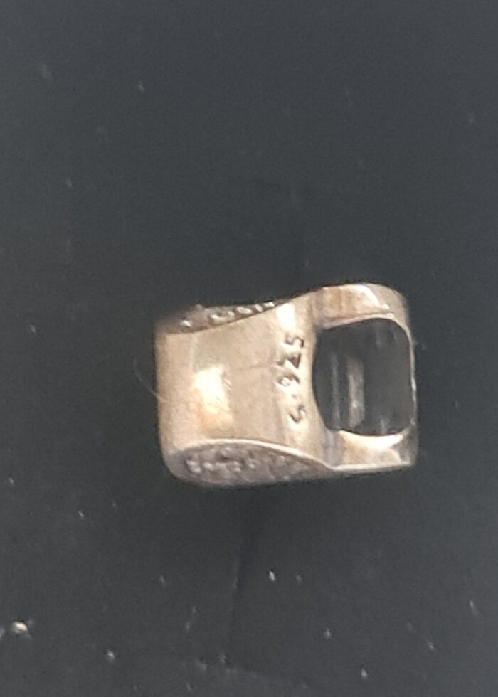 925 Ayar Gümüş Zirkon Taşlı Pati Dostu Charm - Görsel 4