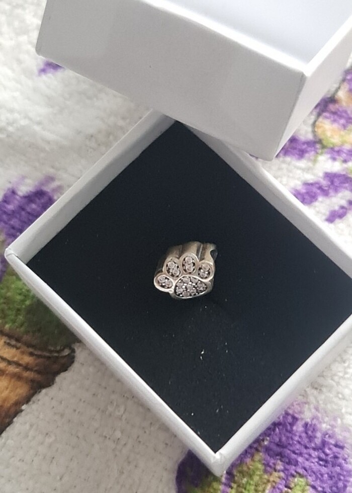 925 Ayar Gümüş Zirkon Taşlı Pati Dostu Charm - Görsel 5