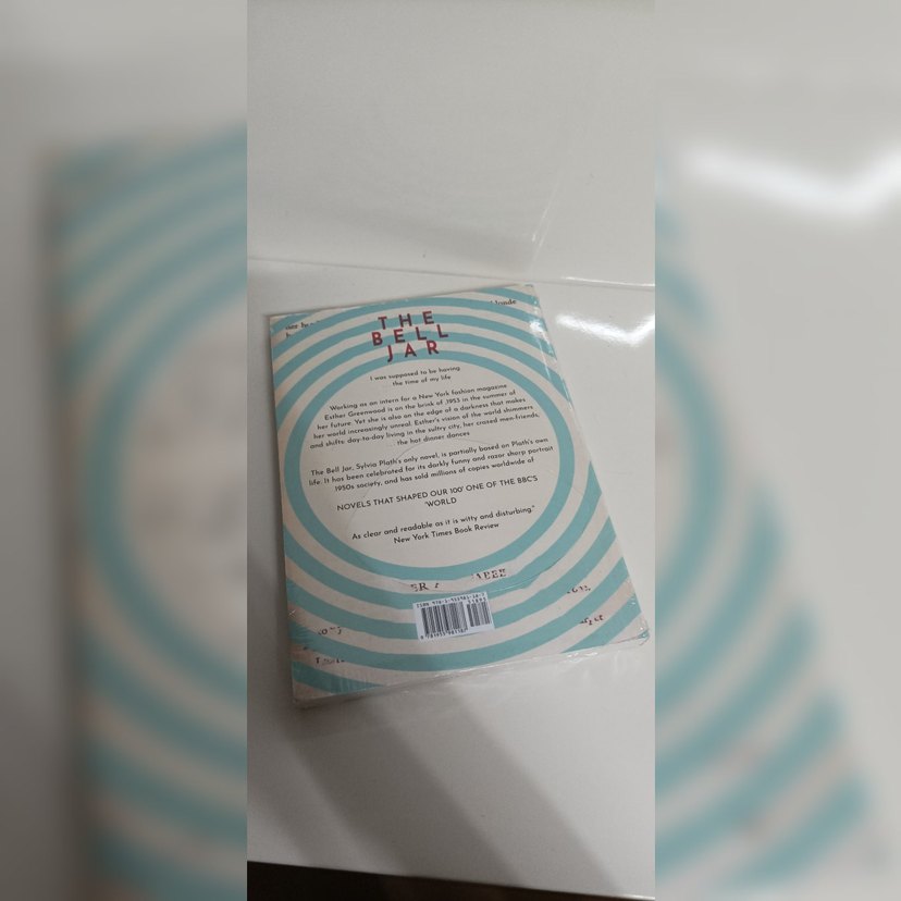 The Bell Jar - Sylvia Plath - Görsel 4