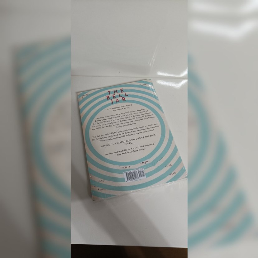 The Bell Jar - Sylvia Plath - Görsel 5
